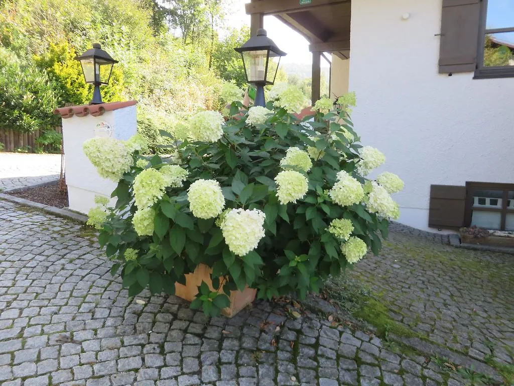 Hittenpichl Bodenmais
